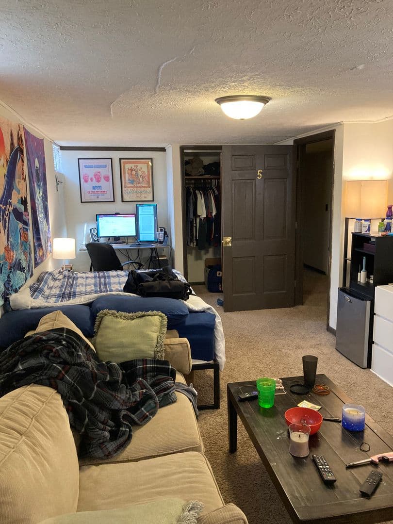 Bloomington Apartment: 716 West 17th Street - 716 West 17th Street