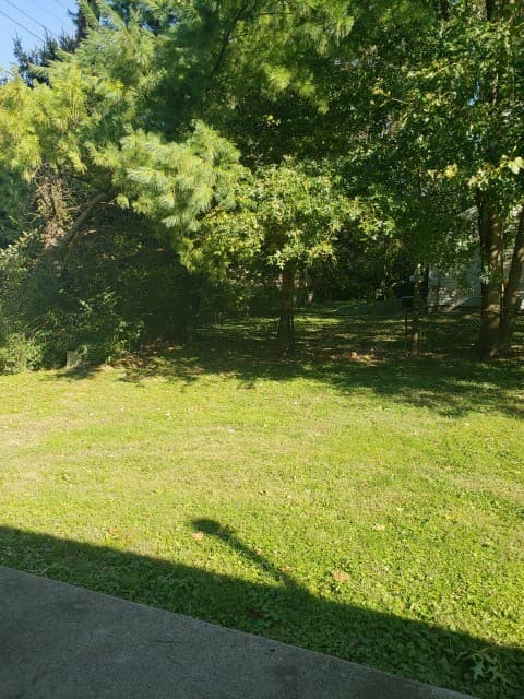 Bloomington House: 1302 North Kinser Pike