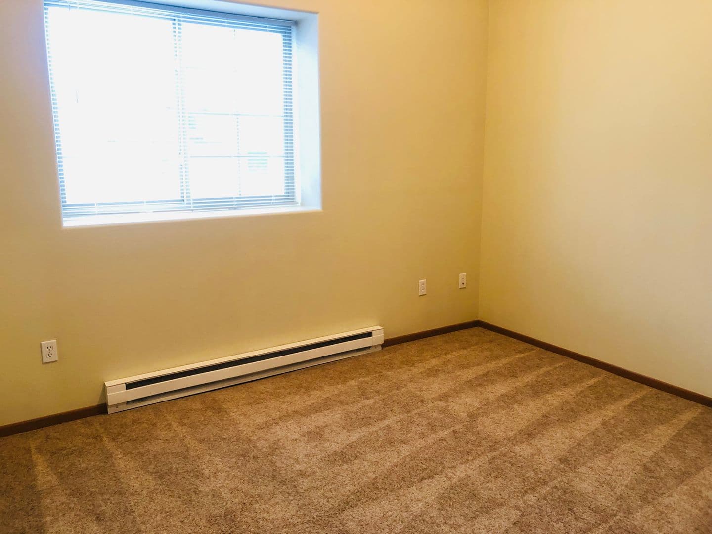 Minot Apartment: 17 South Main