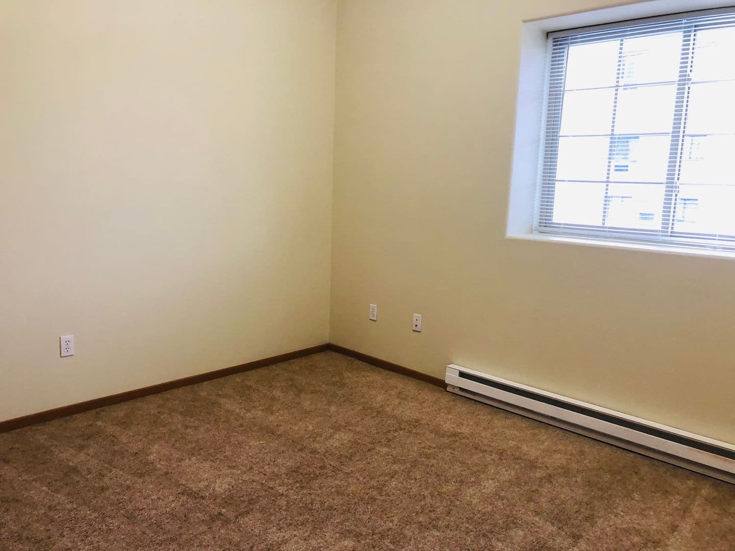 Minot Apartment: 17 South Main