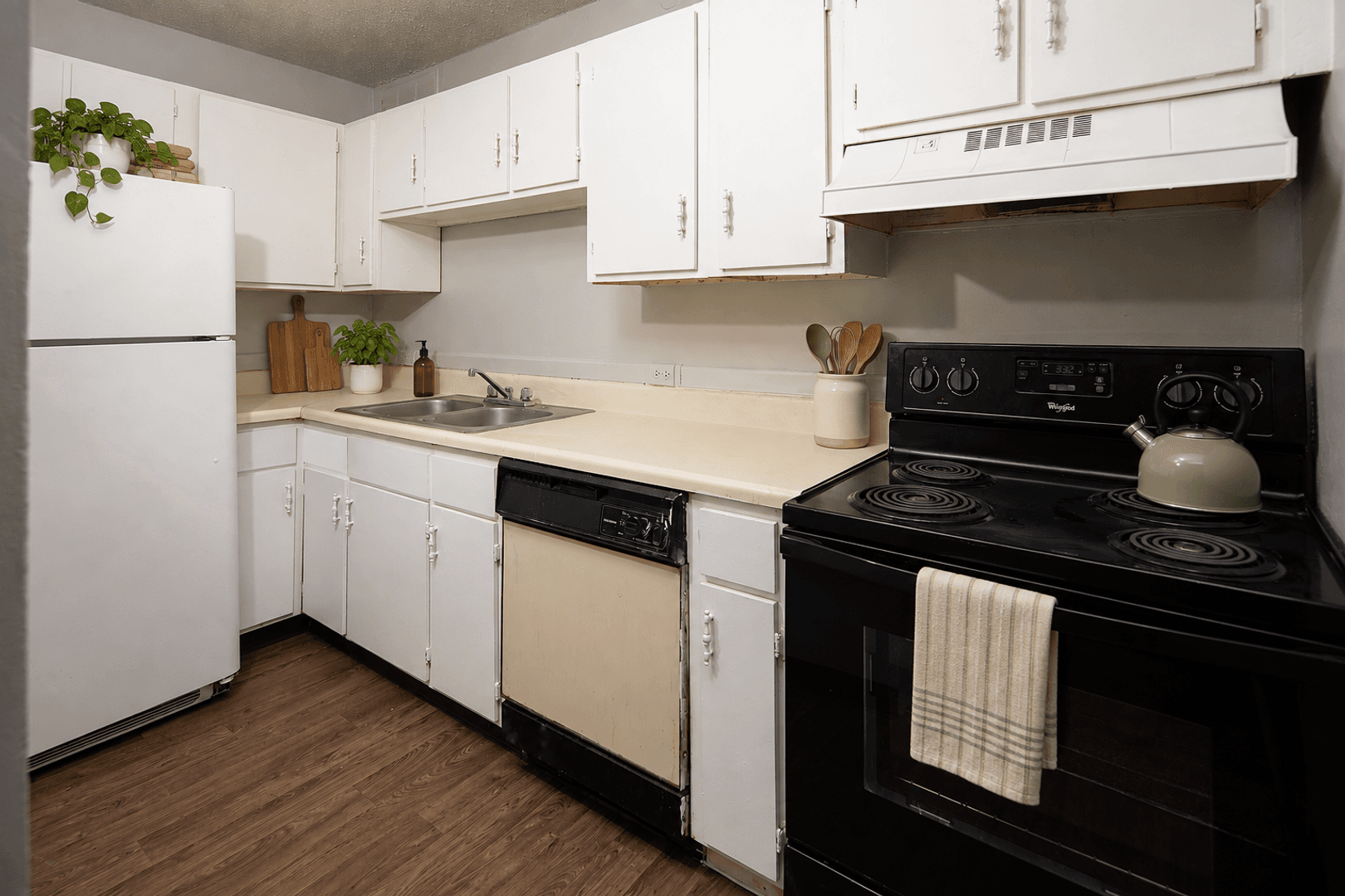 Charlotte Apartment: 903 Lynn St