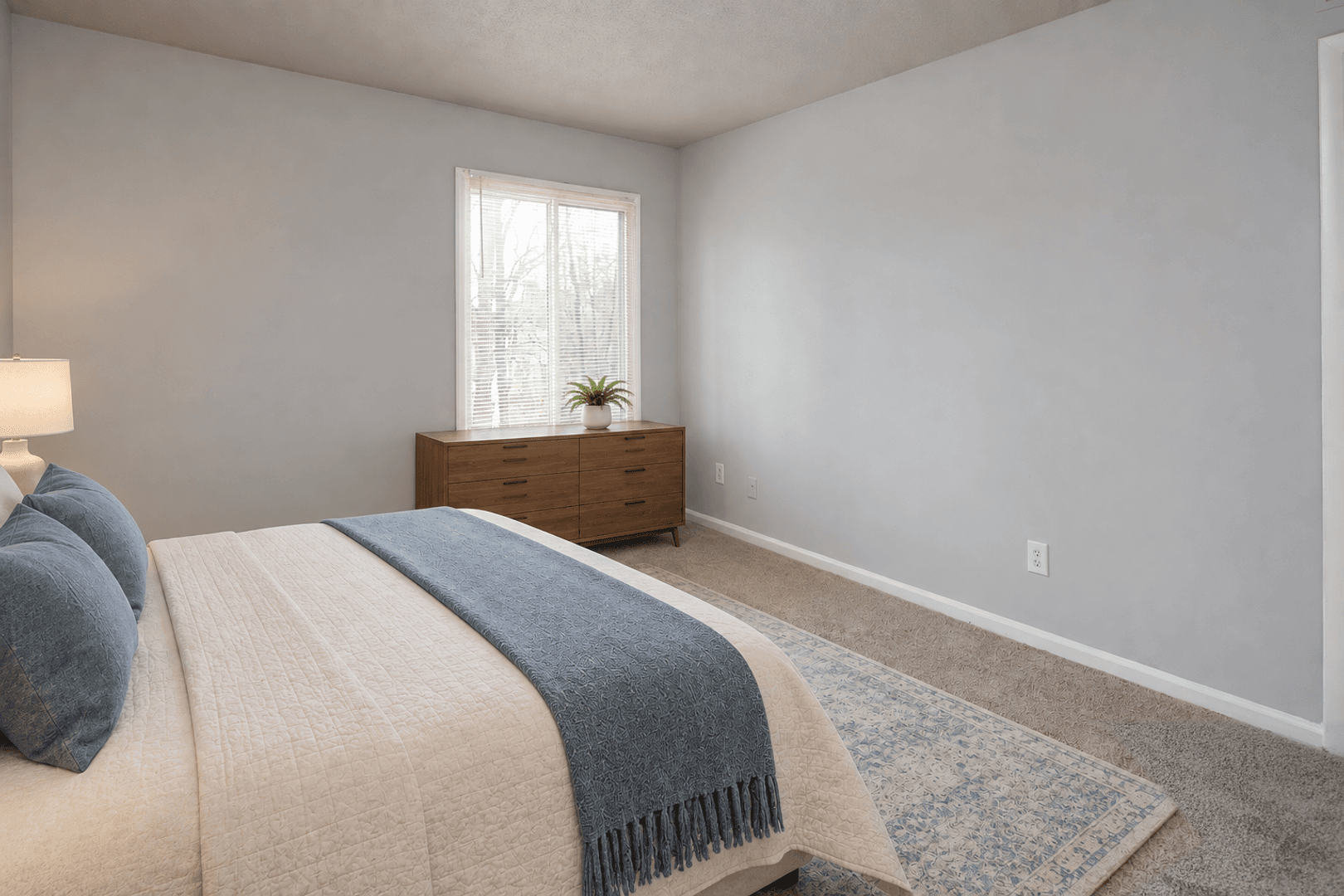 Charlotte Apartment: 825 farmhurst Dr