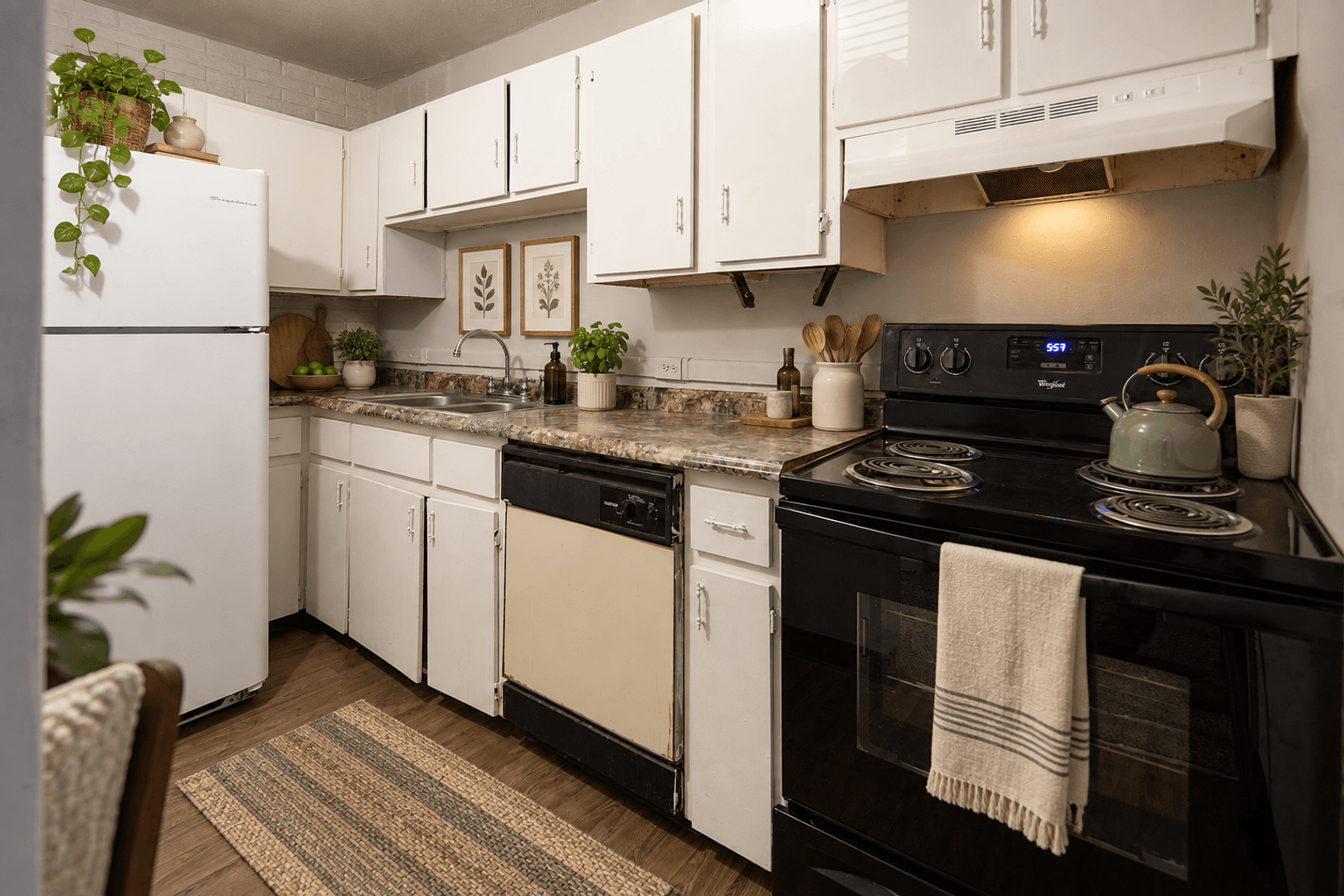 Charlotte Apartment: 903 Lynn St