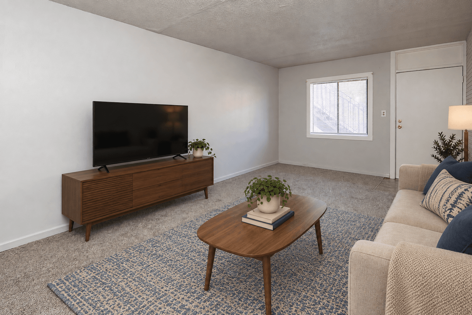 Charlotte Apartment: 903 Lynn St