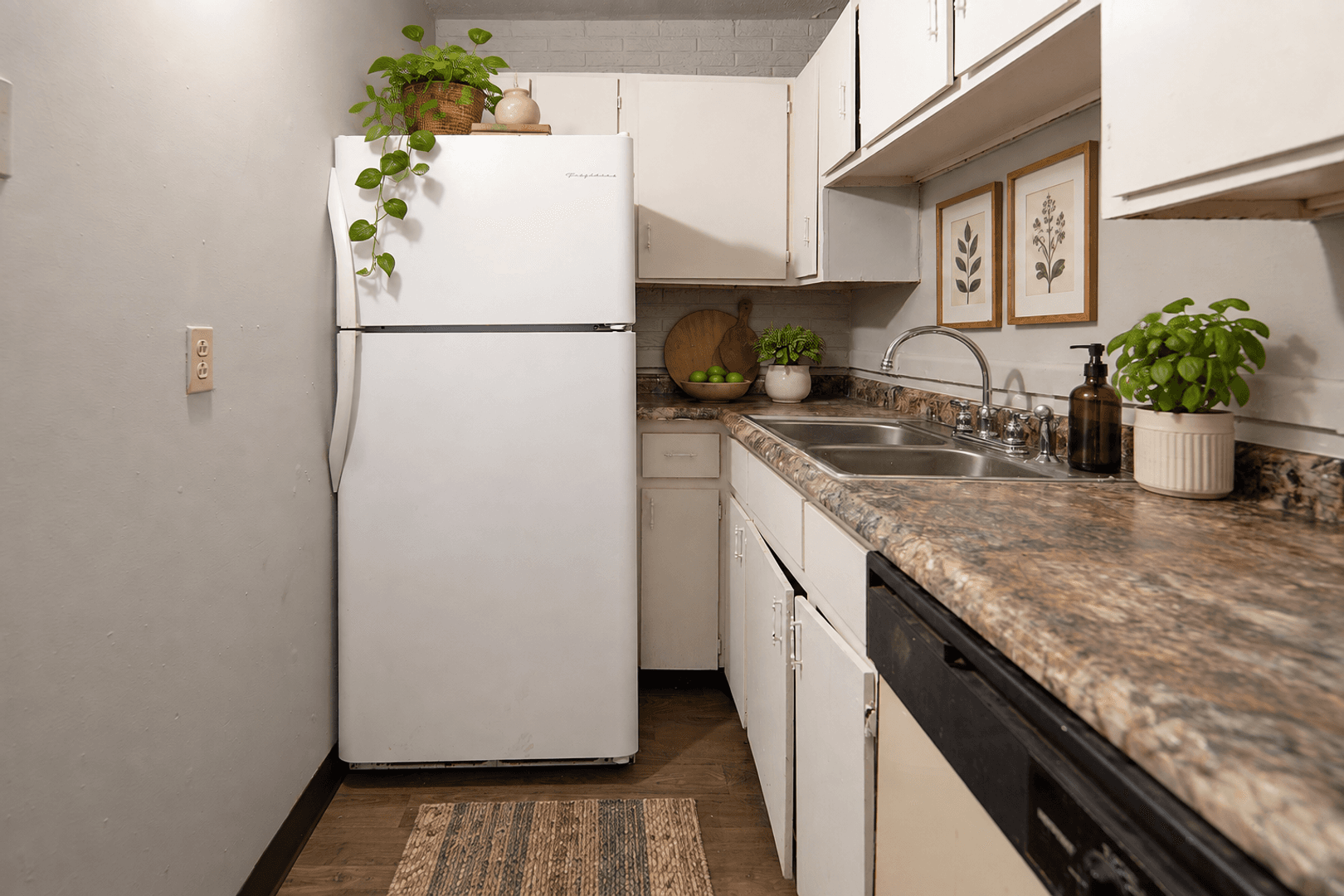 Charlotte Apartment: 903 Lynn St