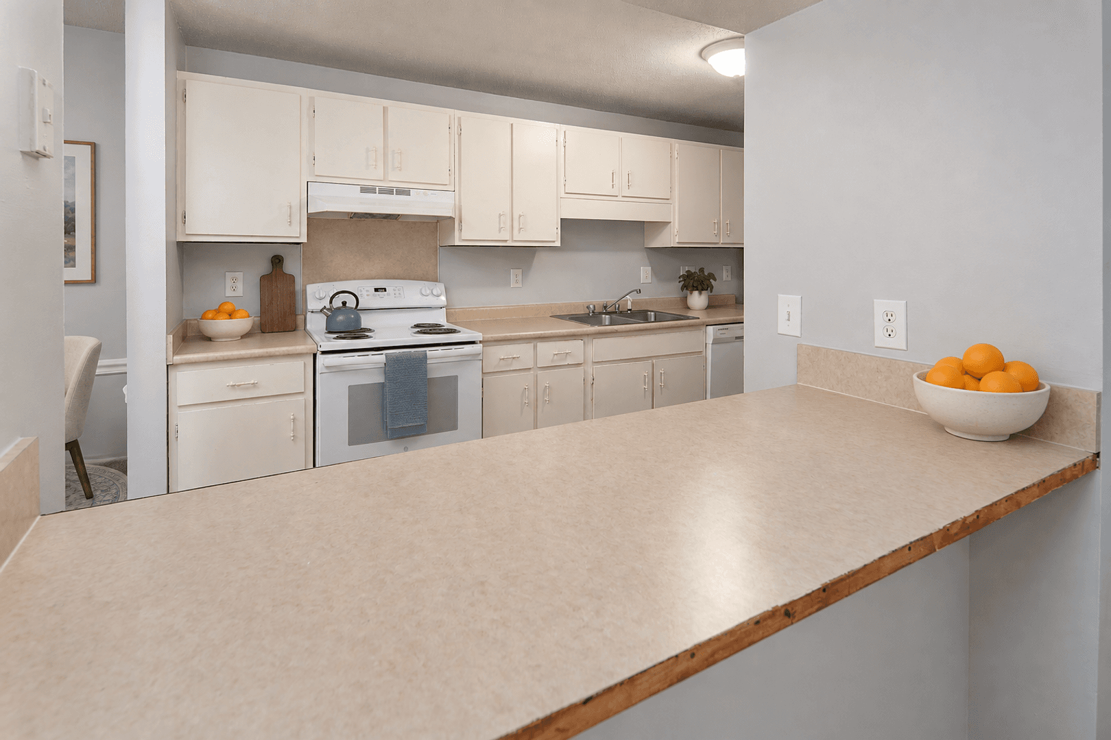 Charlotte Apartment: 825 farmhurst Dr