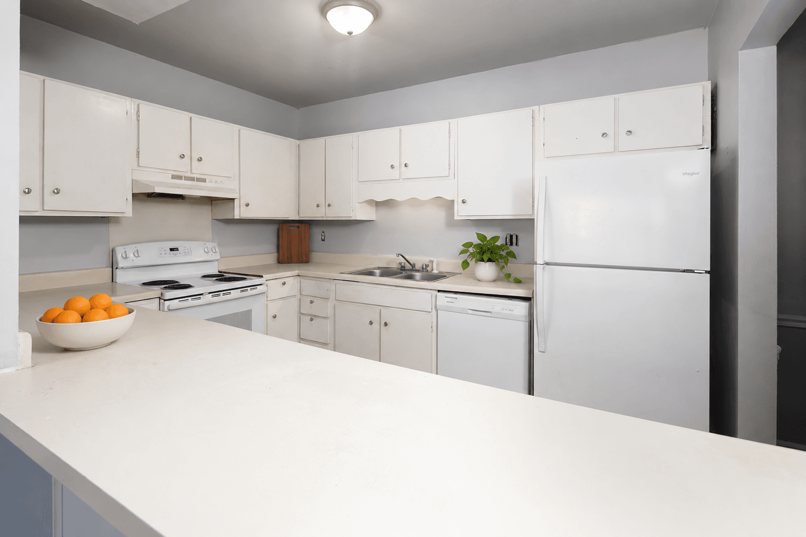 Charlotte Apartment: 825 farmhurst Dr