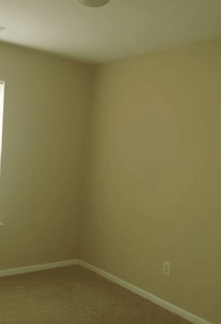 Charlotte Townhome: 1438 Capps Hill Mine Rd