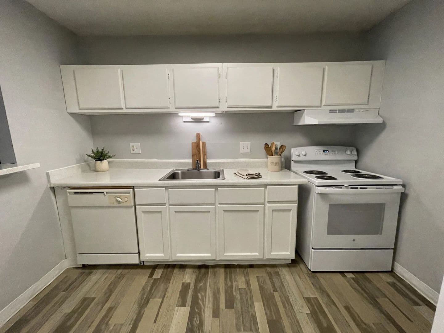 Charlotte Apartment: 1307 Springmont Ln