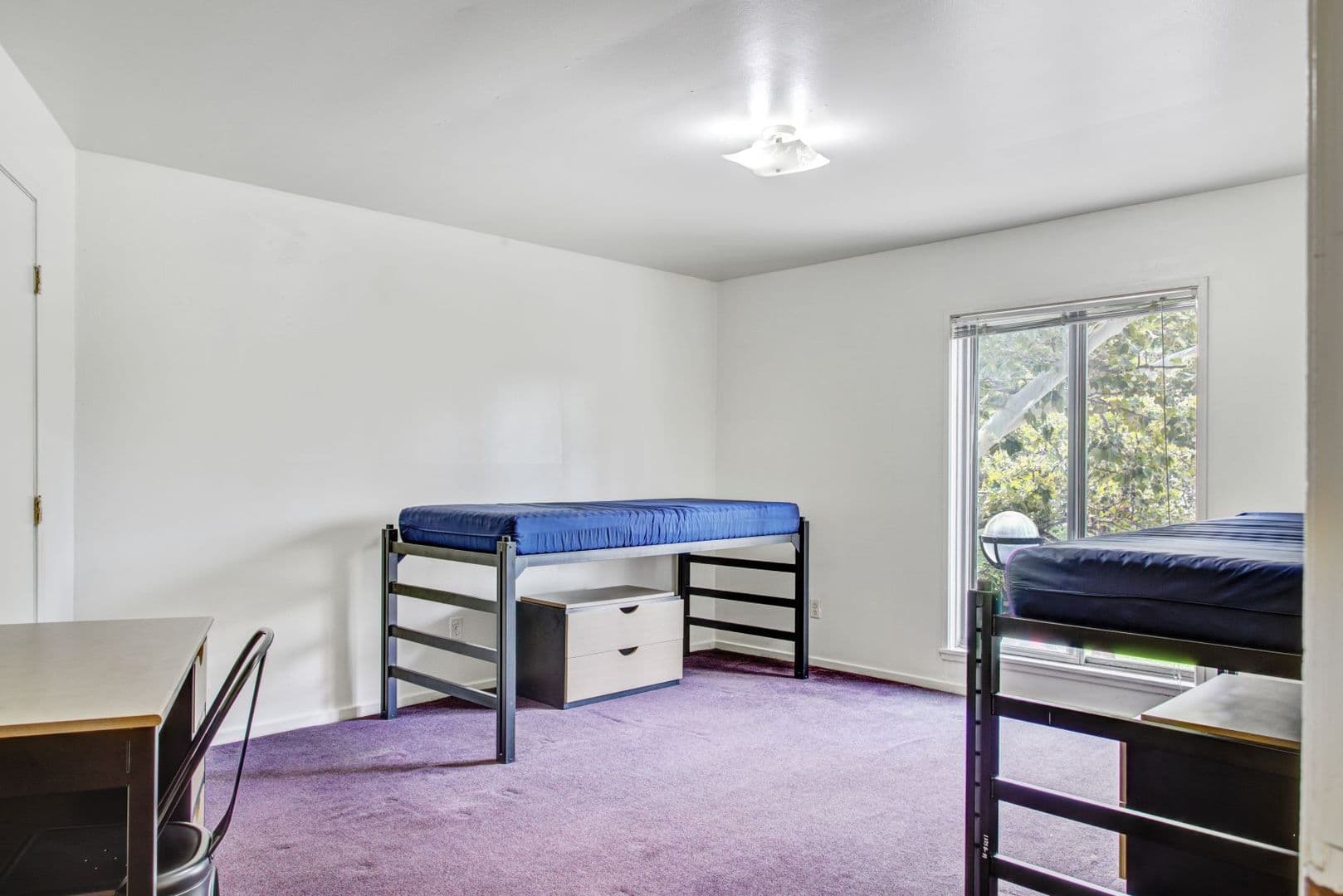 Ann Arbor Apartment: 1335 S. University Ave