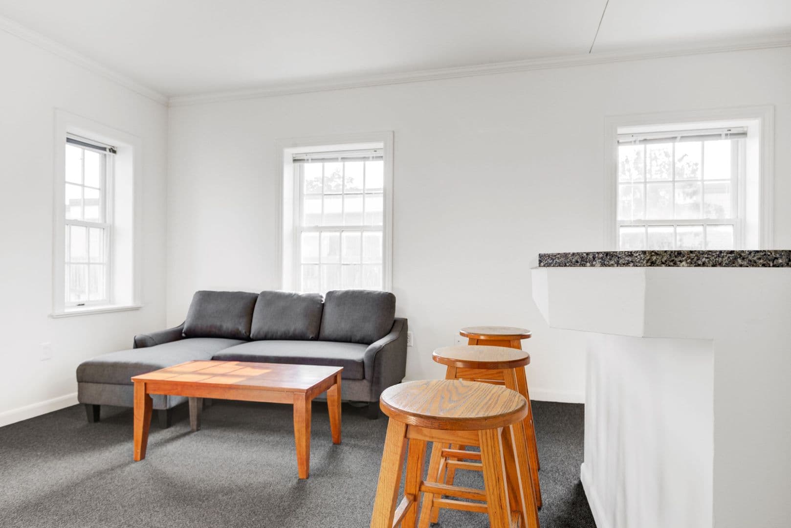Ann Arbor Apartment: 616 Monroe St
