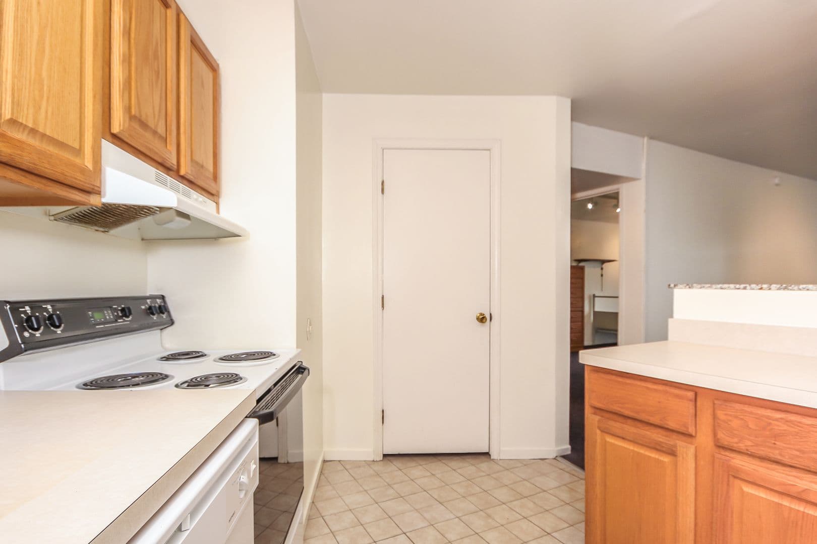 Ann Arbor Apartment: 1335 S. University Ave