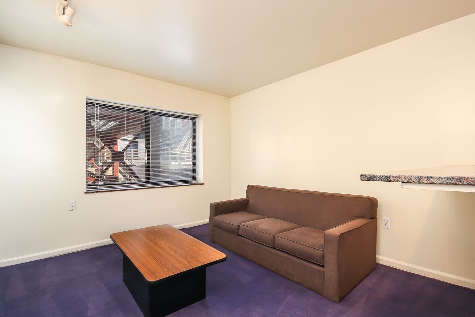 Ann Arbor Apartment: 1309 S. University Ave
