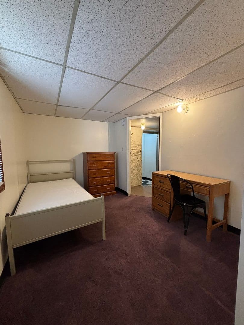 Ann Arbor Apartment: 524 S. Forest Ave
