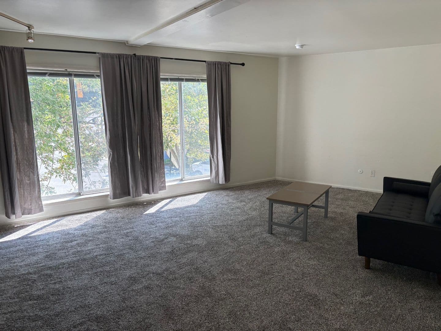 Ann Arbor Apartment: 1335 S. University Ave