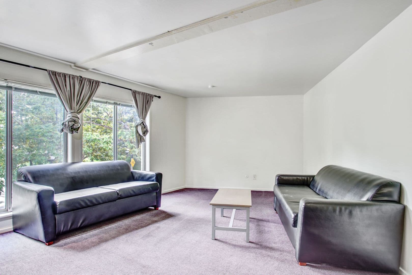 Ann Arbor Apartment: 1335 S. University Ave