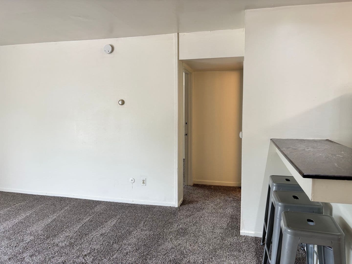 Ann Arbor Apartment: 1335 S. University Ave