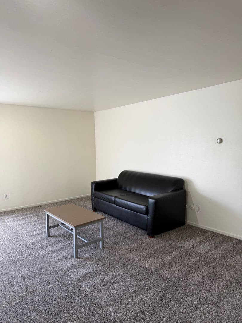 Ann Arbor Apartment: 1335 S. University Ave