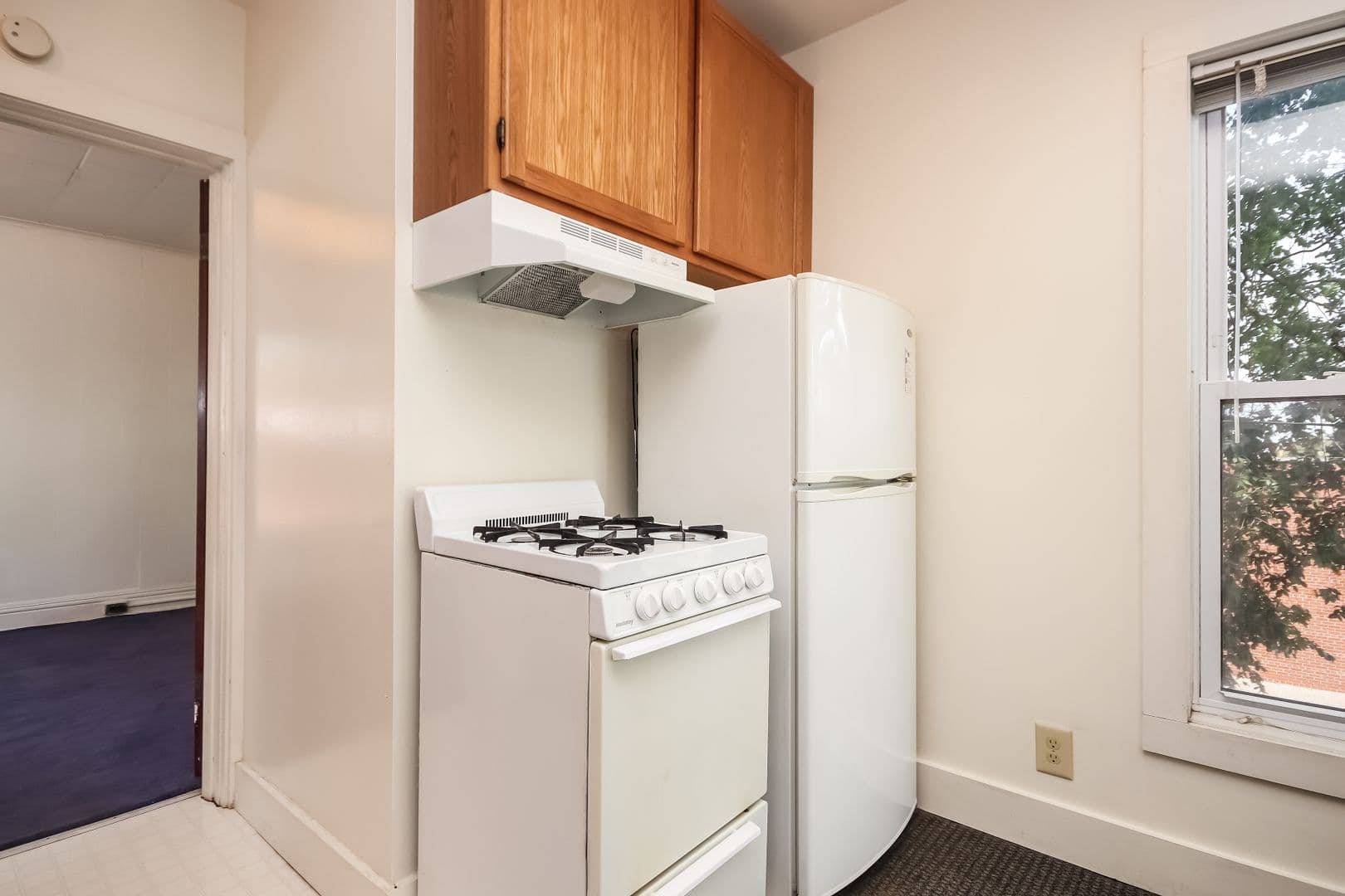 Ann Arbor Apartment: 514 S. Forest Ave