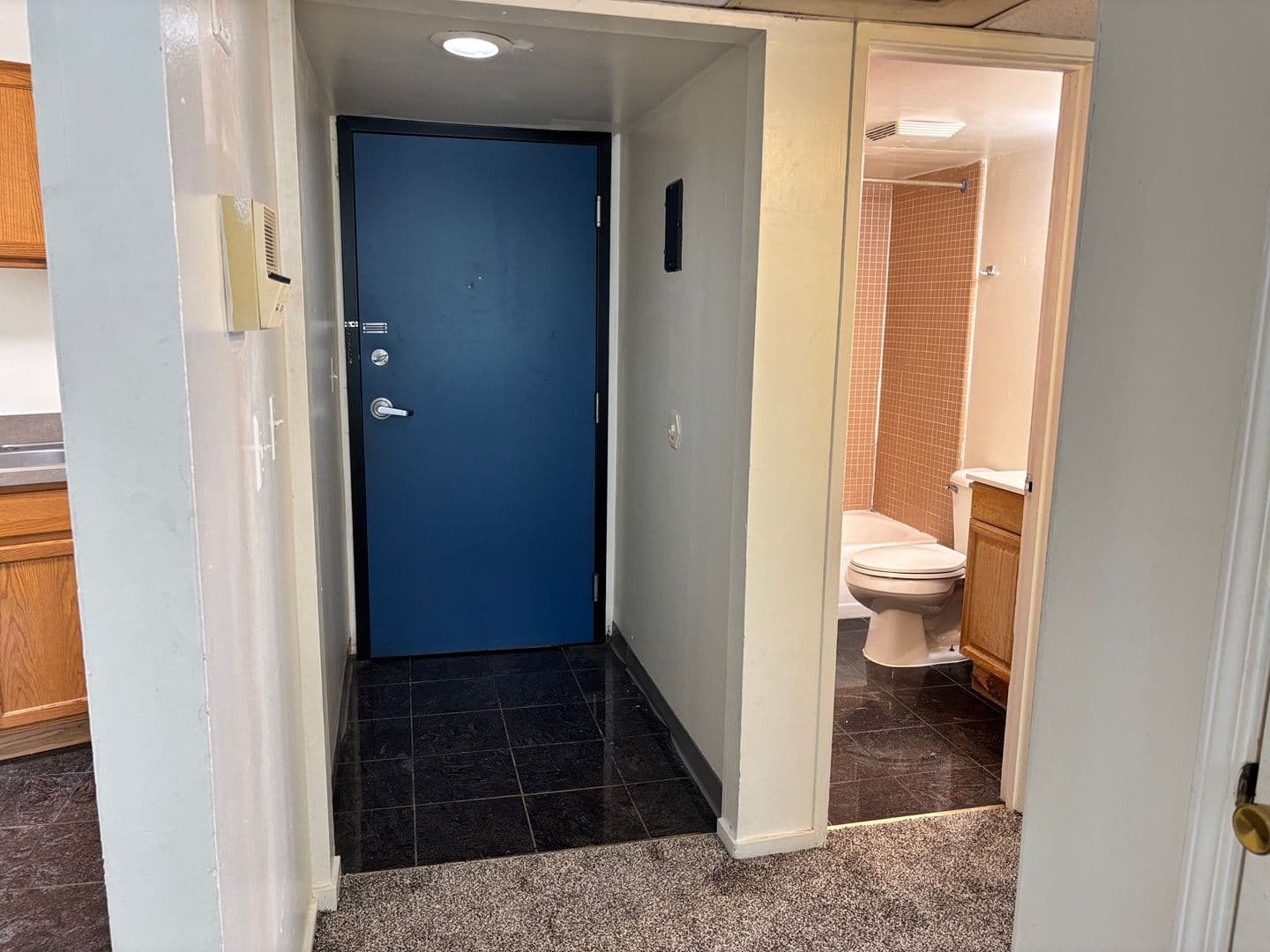Ann Arbor Apartment: 1335 S. University Ave