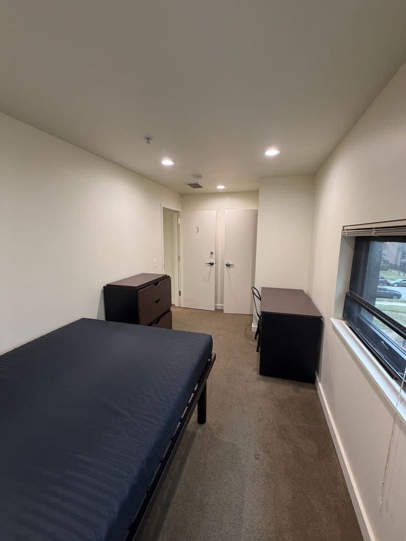 Ann Arbor Apartment: 1315 Hill St
