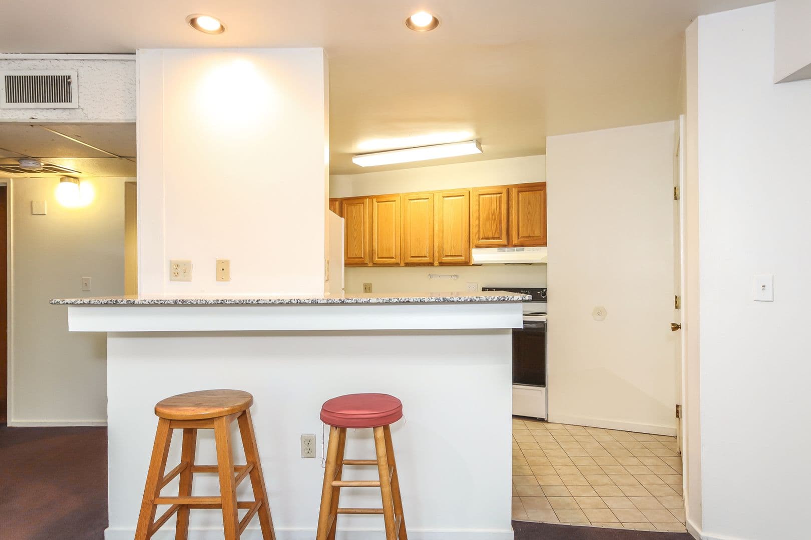 Ann Arbor Apartment: 1335 S. University Ave