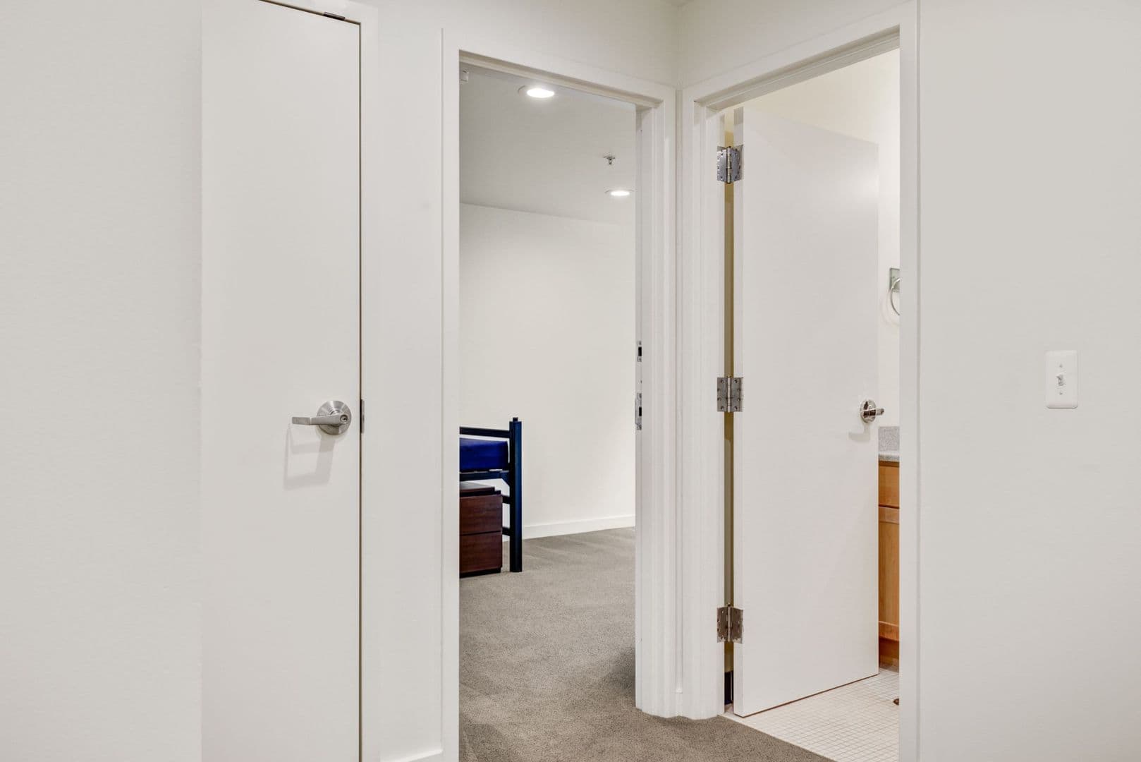 Ann Arbor Apartment: 1315 Hill St