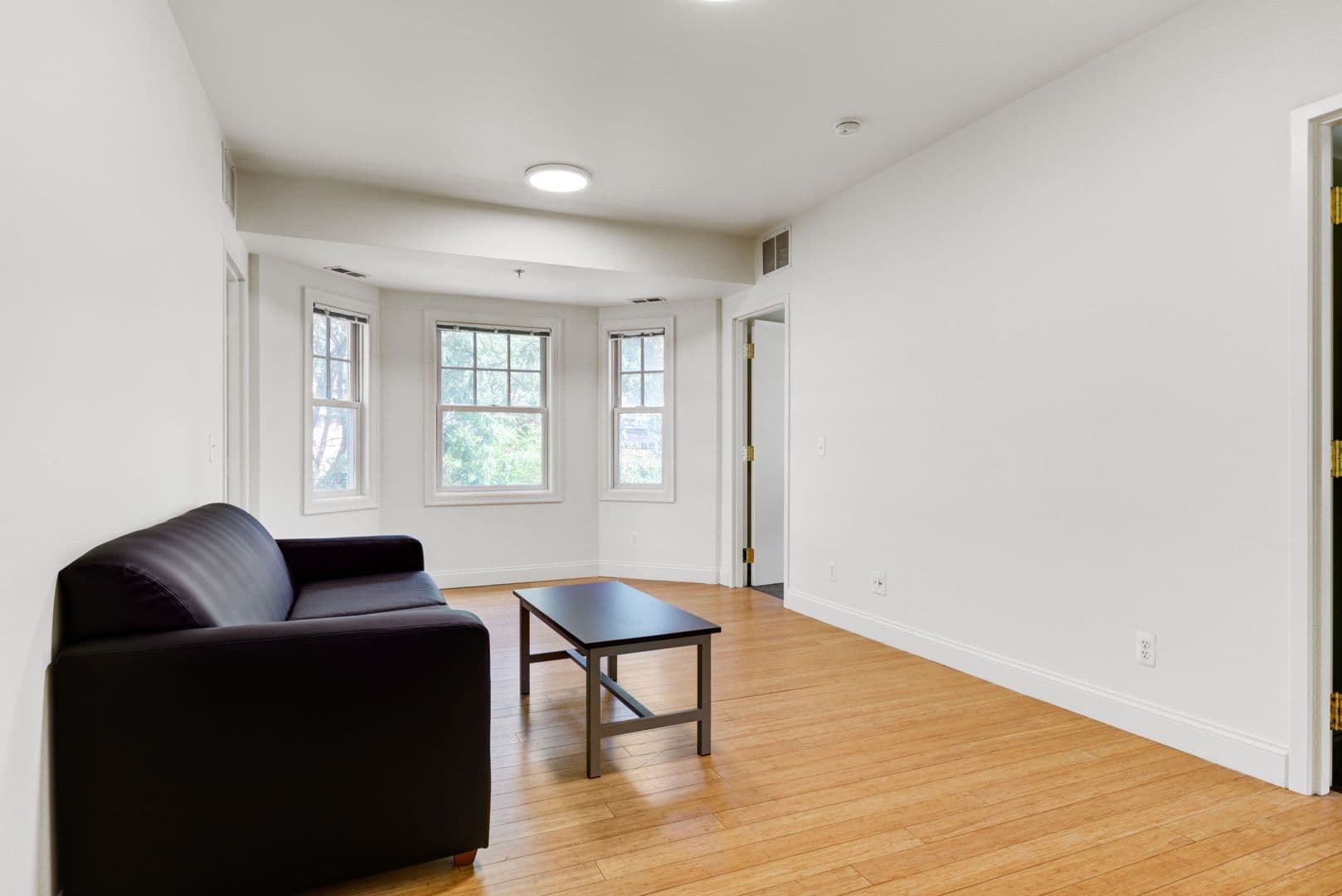 Ann Arbor Apartment: 727 S. Forest Ave