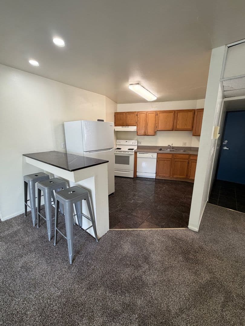 Ann Arbor Apartment: 1335 S. University Ave