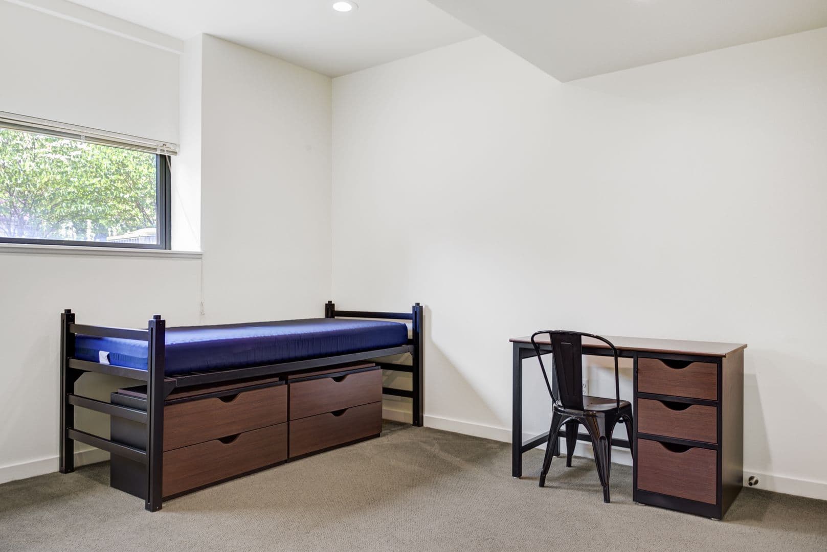 Ann Arbor Apartment: 1315 Hill St