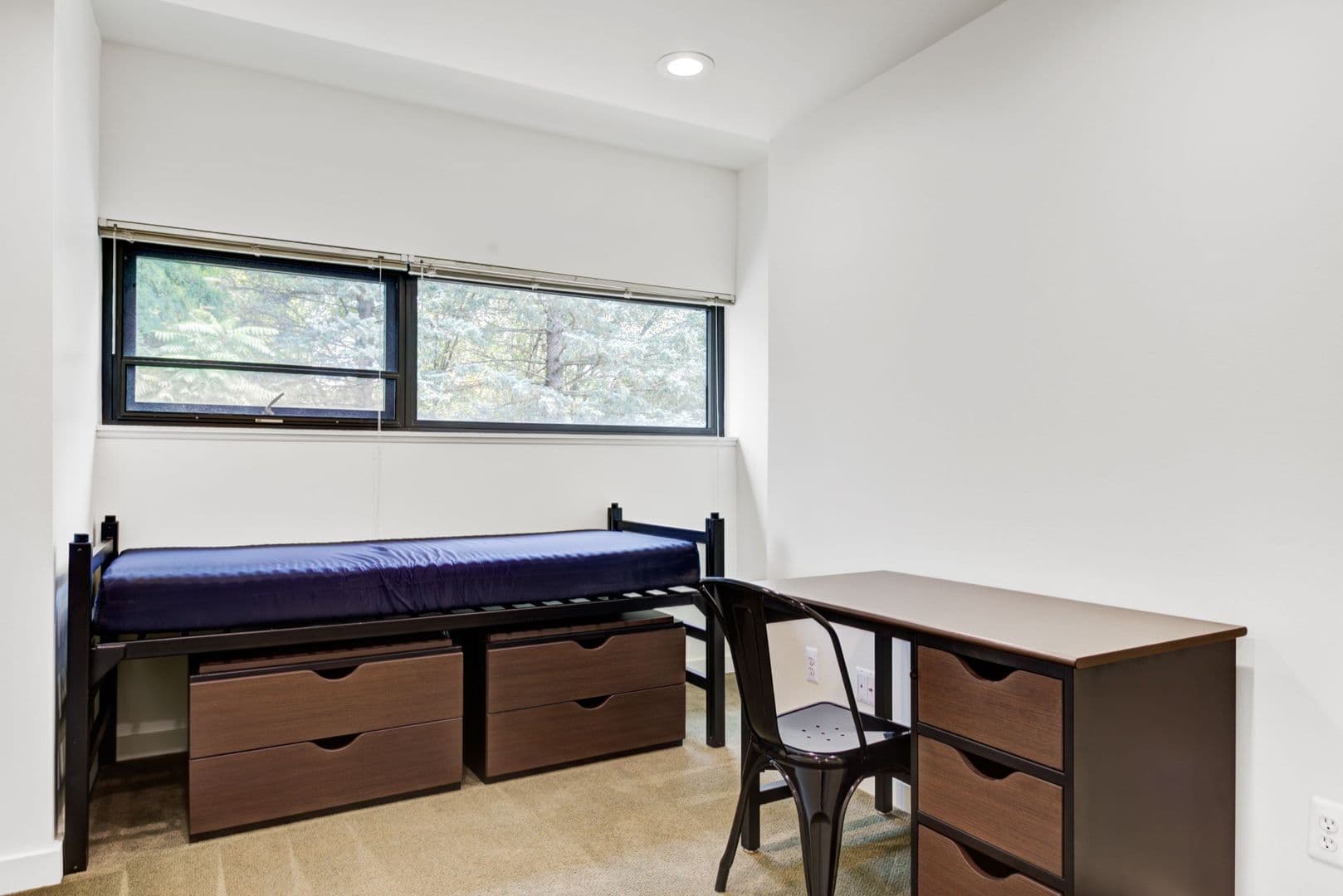 Ann Arbor Apartment: 1315 Hill St