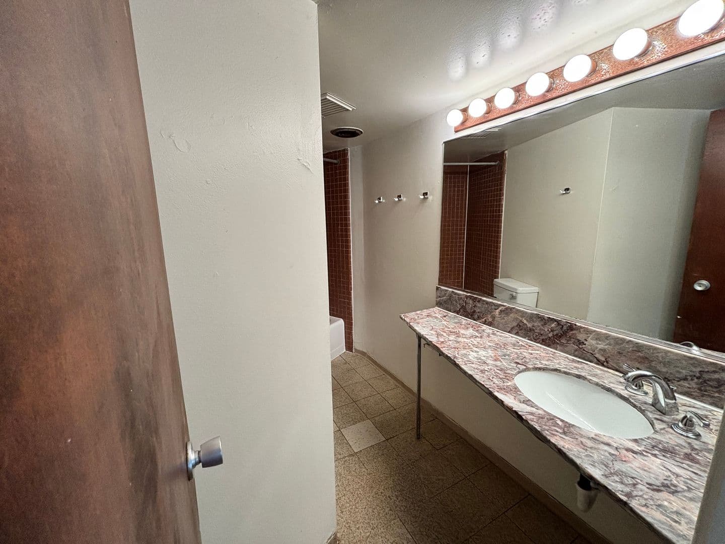 Ann Arbor Apartment: 1335 S. University Ave