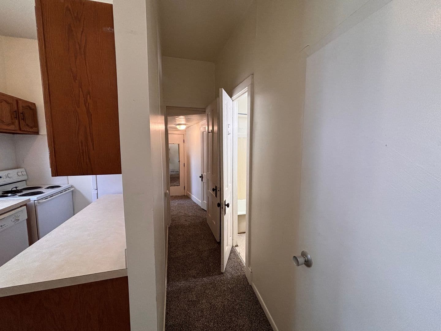 Ann Arbor Apartment: 1307 Washtenaw Ave