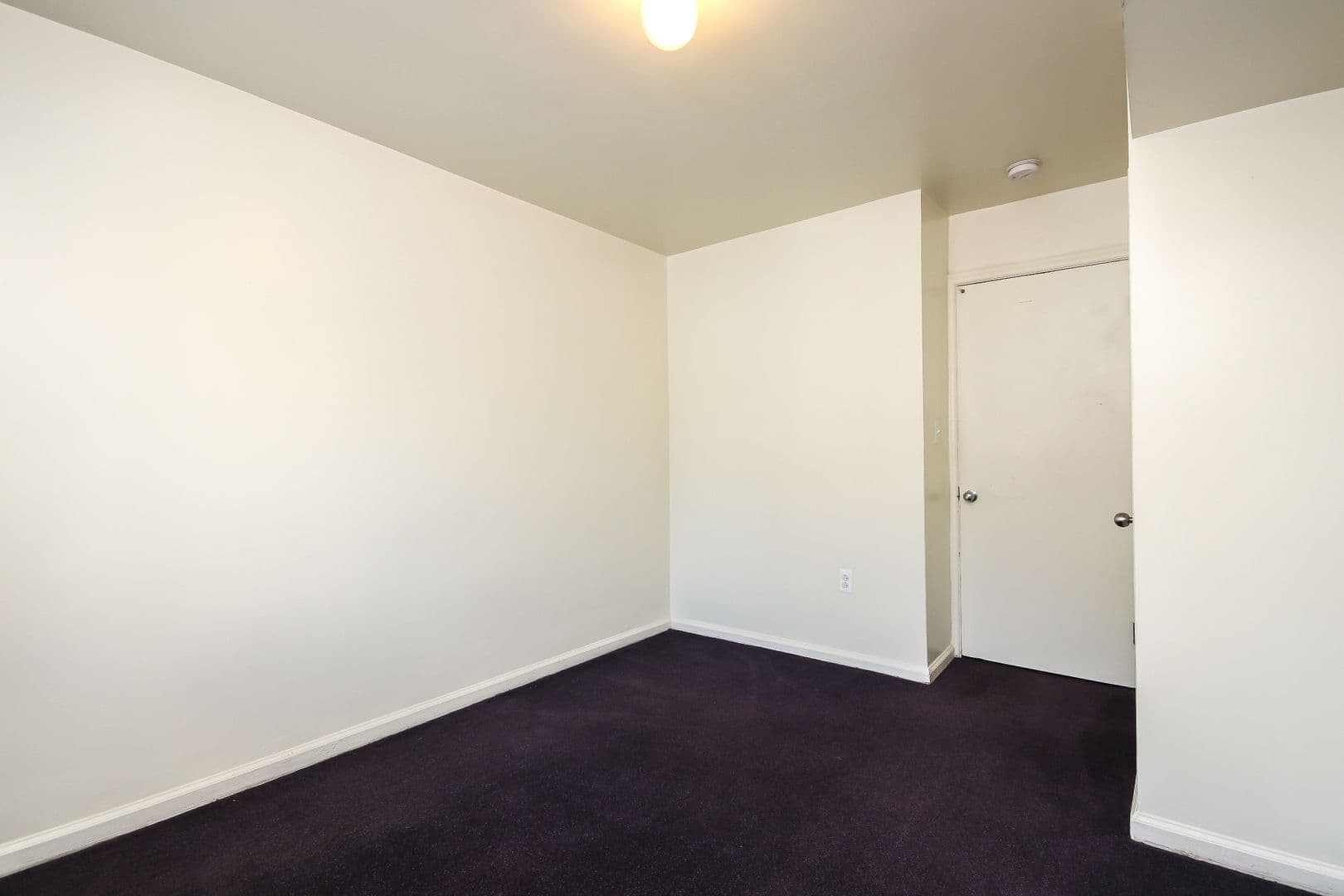 Ann Arbor Apartment: 1309 S. University Ave