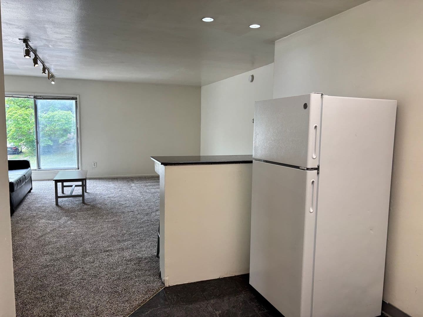 Ann Arbor Apartment: 1335 S. University Ave