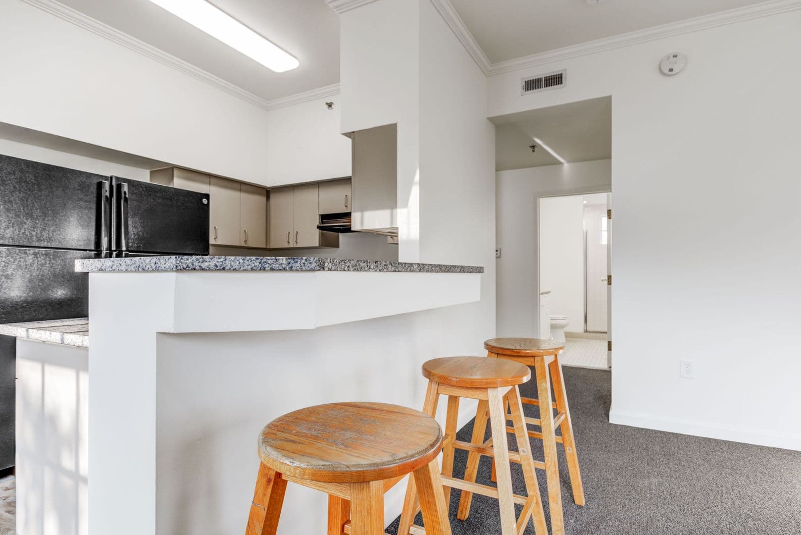 Ann Arbor Apartment: 616 Monroe St