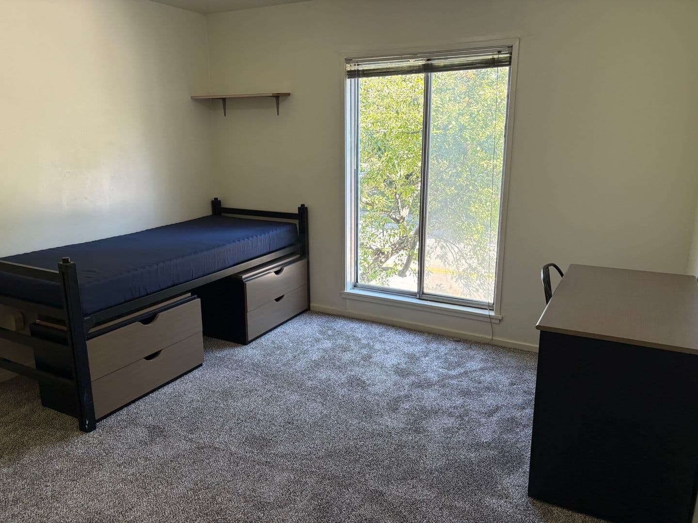 Ann Arbor Apartment: 1335 S. University Ave
