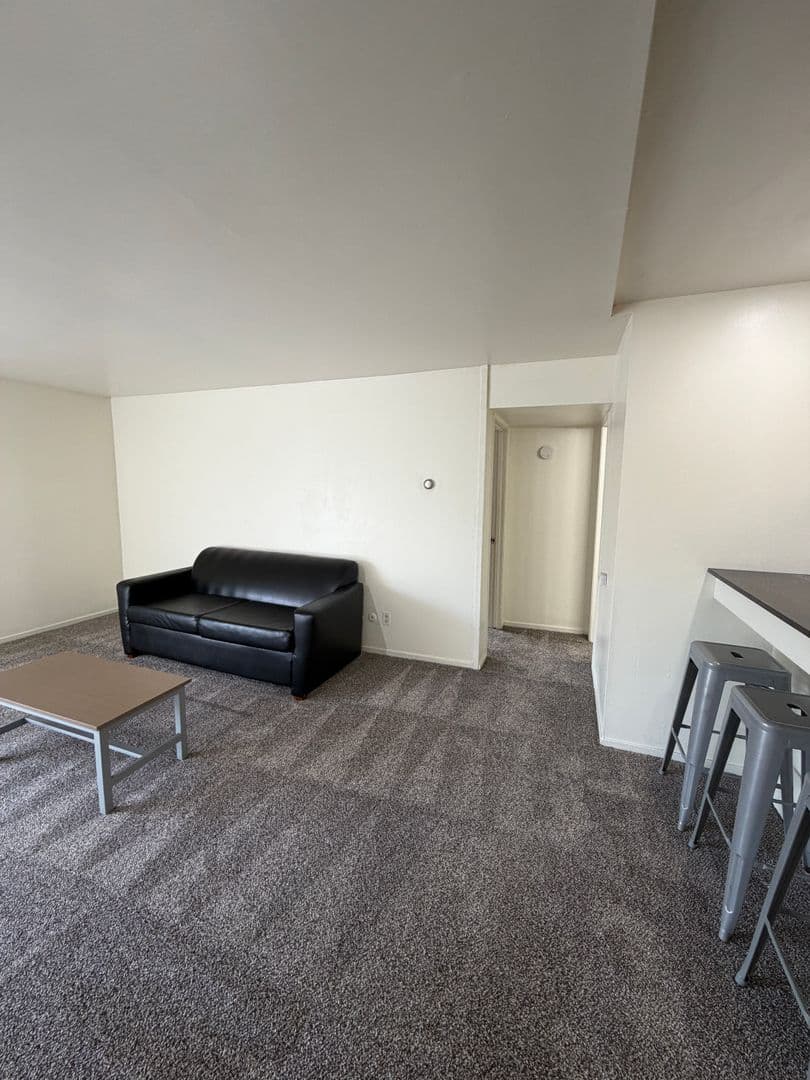 Ann Arbor Apartment: 1335 S. University Ave