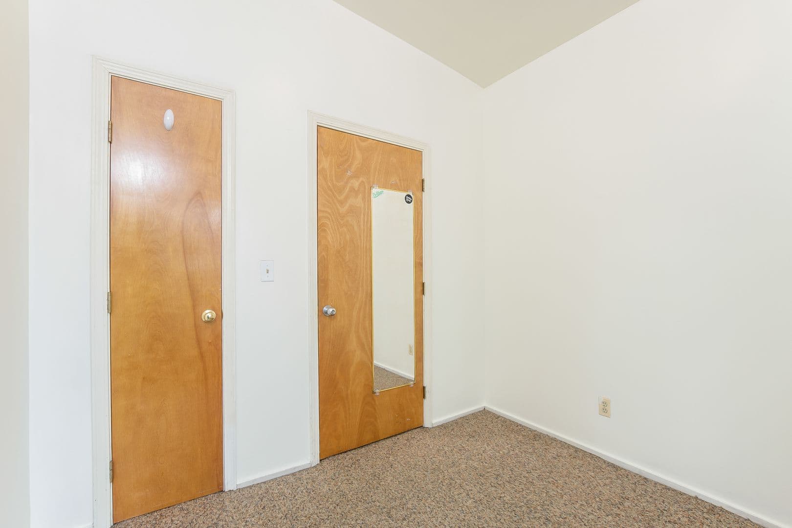 Ann Arbor Apartment: 1364 Geddes Ave