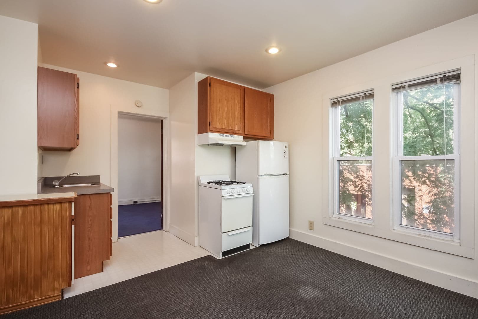 Ann Arbor Apartment: 514 S. Forest Ave