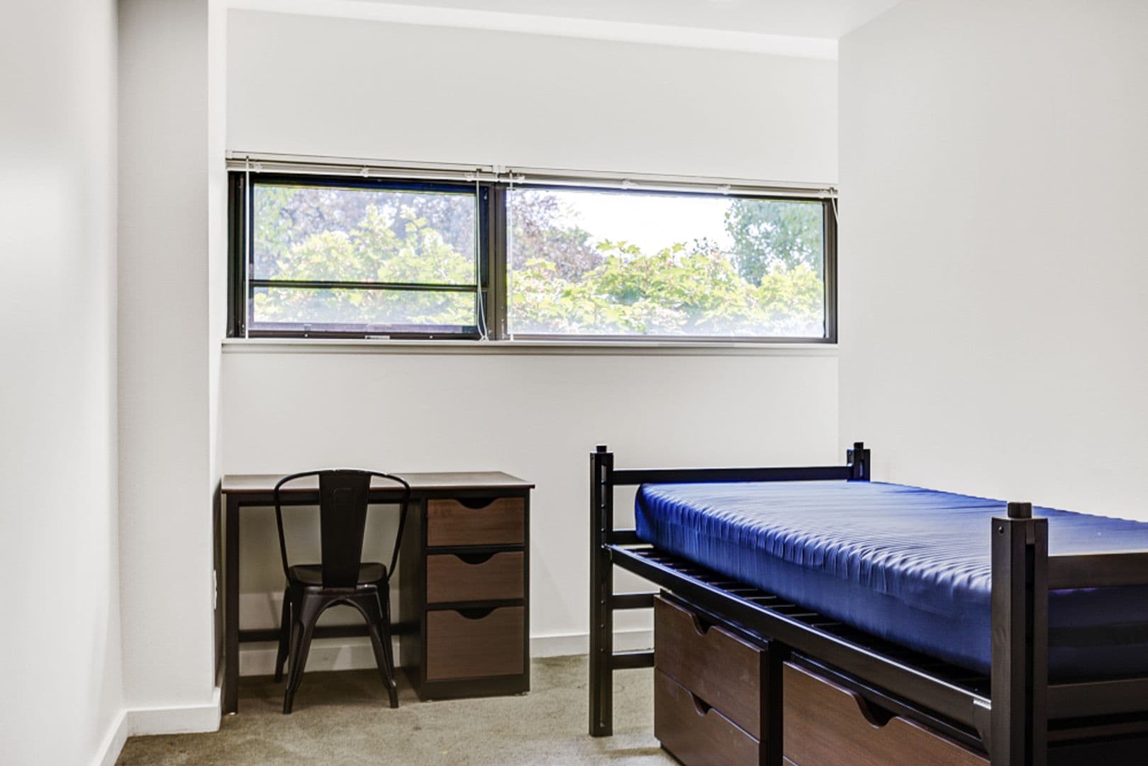 Ann Arbor Apartment: 1315 Hill St