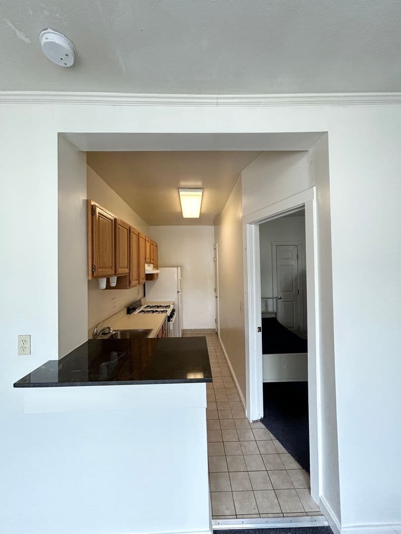 Ann Arbor Apartment: 514 S. Forest Ave