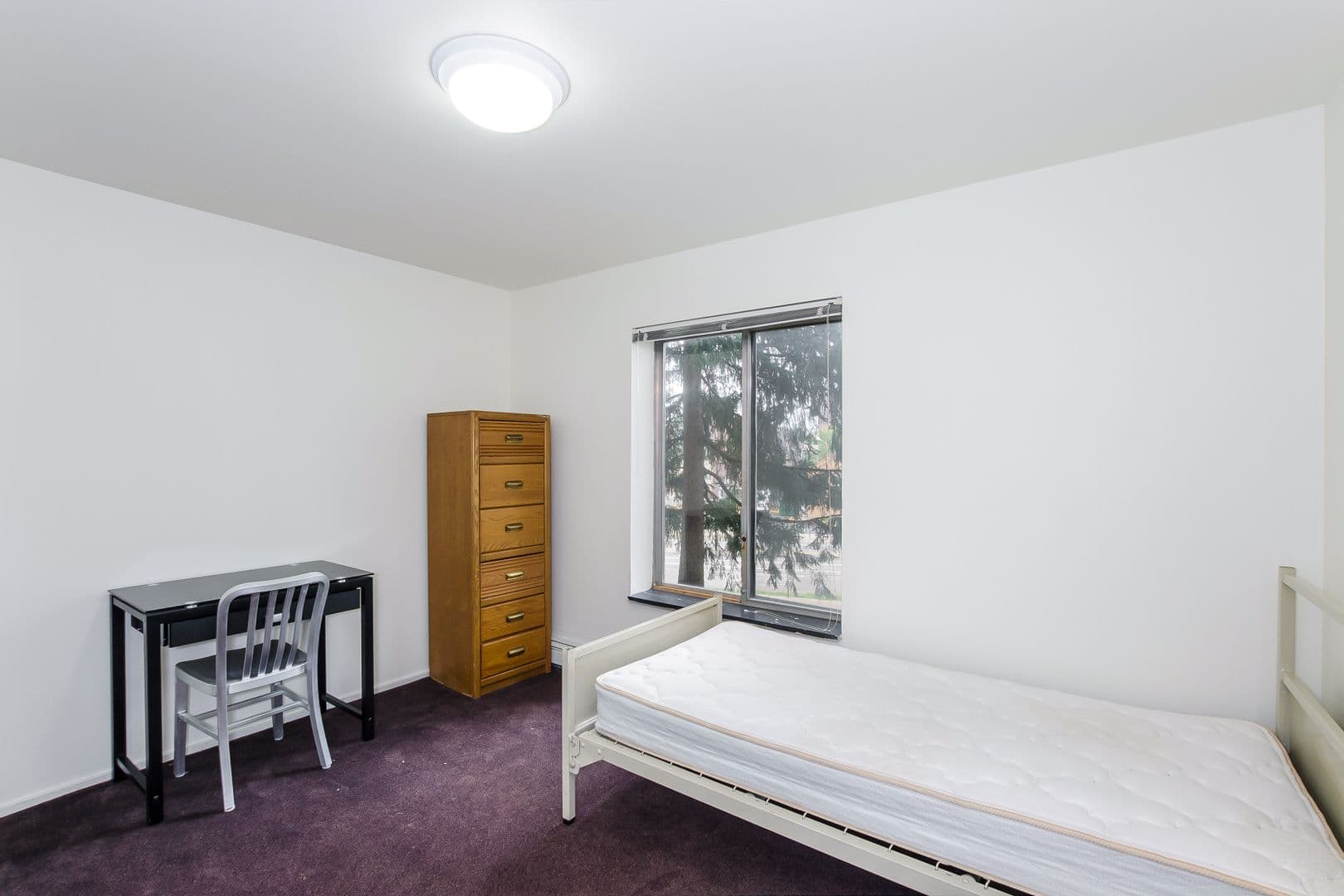 Ann Arbor Apartment: 1364 Geddes Ave
