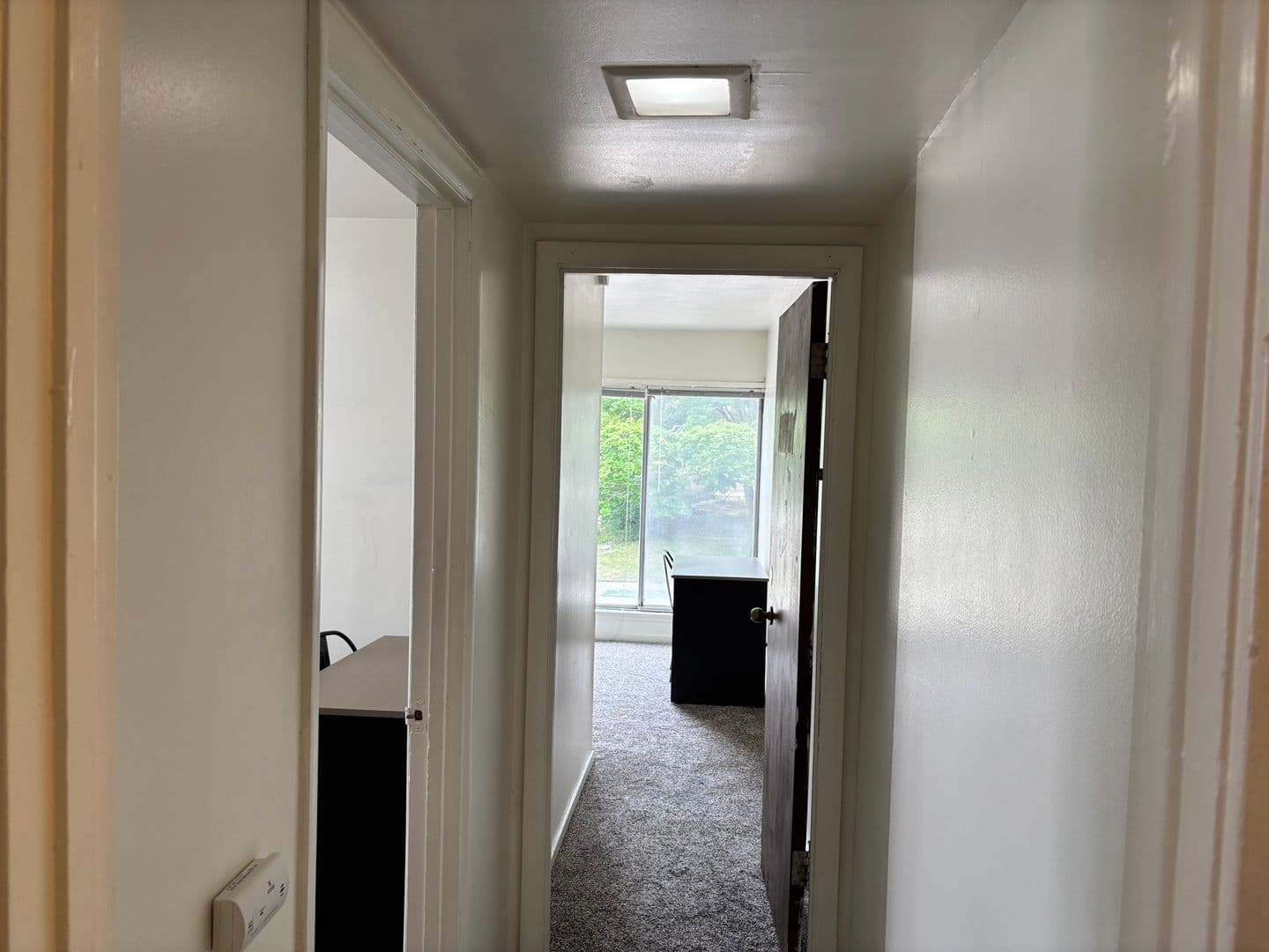 Ann Arbor Apartment: 1335 S. University Ave