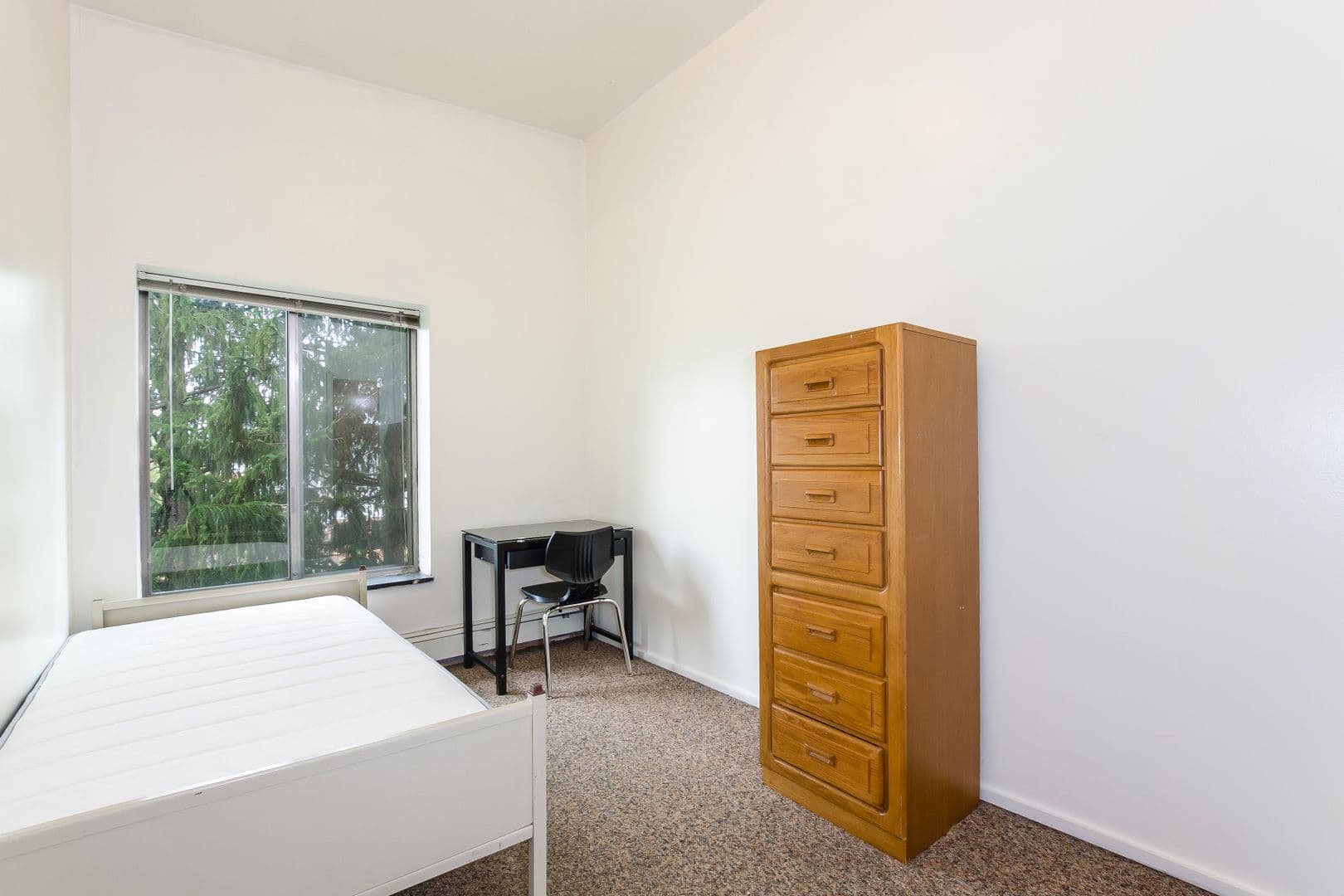 Ann Arbor Apartment: 1364 Geddes Ave