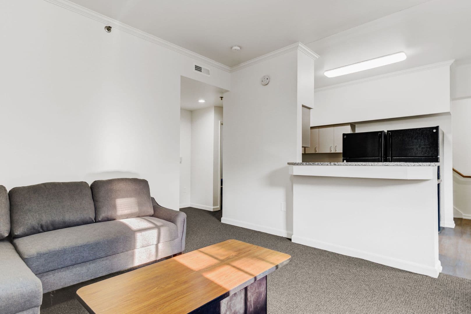 Ann Arbor Apartment: 616 Monroe St