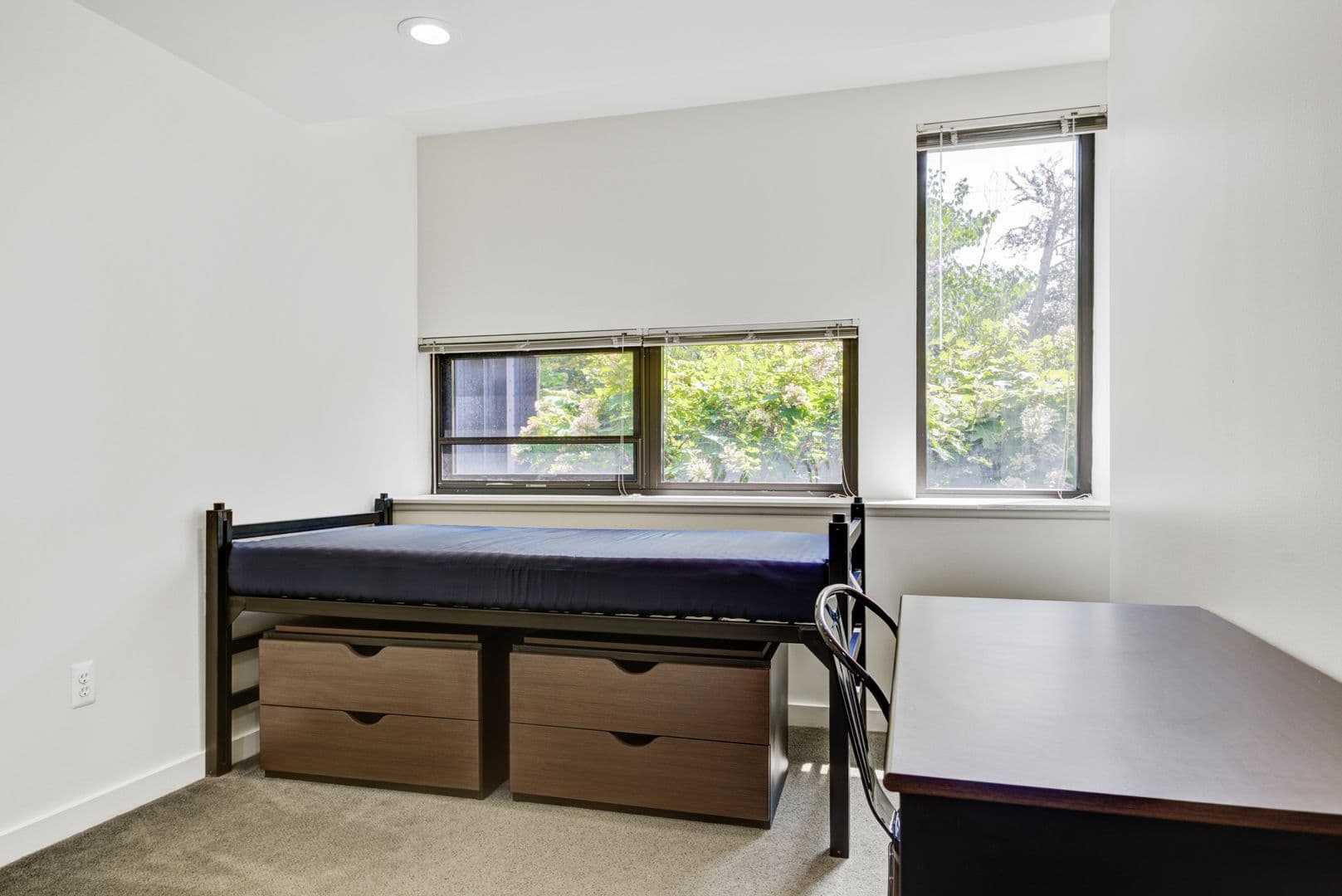 Ann Arbor Apartment: 1315 Hill St