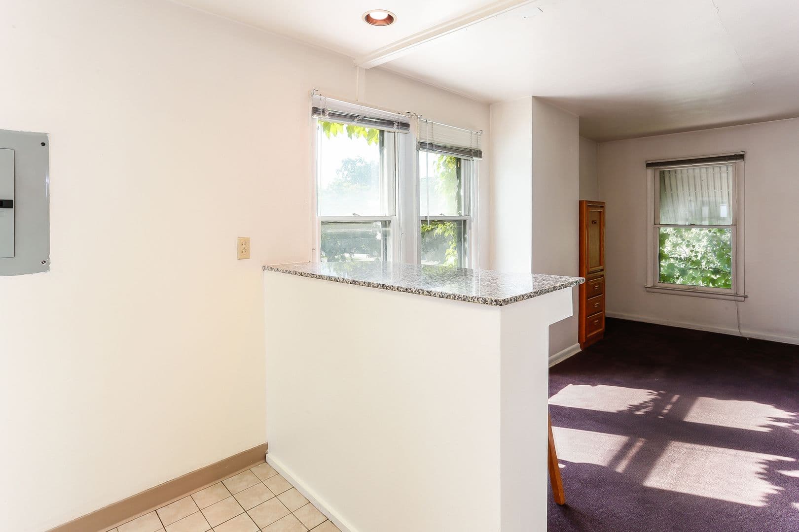 Ann Arbor Apartment: 1331 Washtenaw Ave