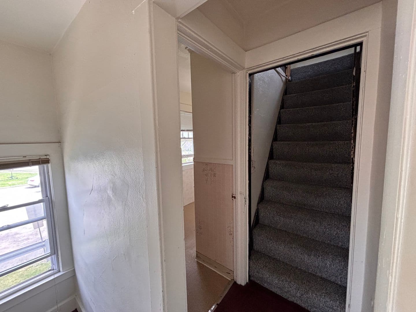 Ann Arbor House: 1318 Wilmot
