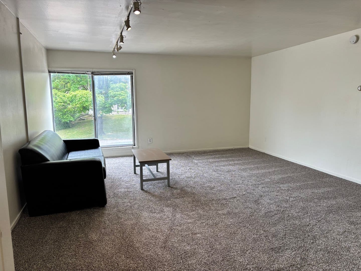 Ann Arbor Apartment: 1335 S. University Ave